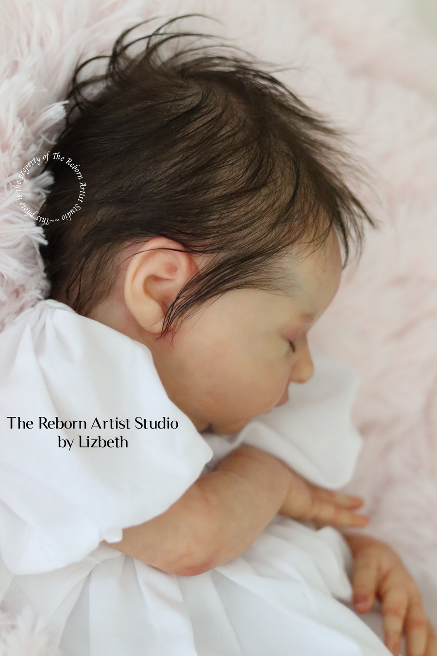 THE REBORN ARTIST STUDIO