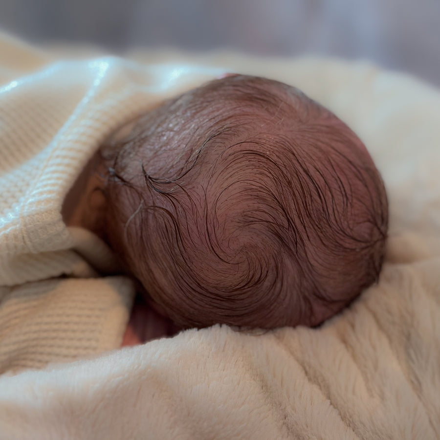 THE SILI CRADLE — photo 8