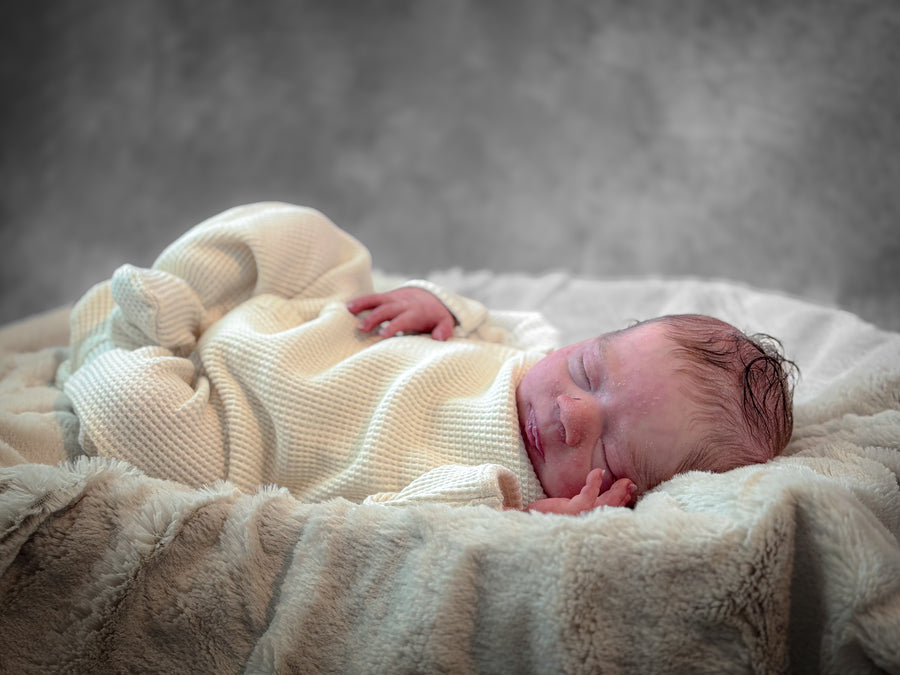 THE SILI CRADLE — photo 4