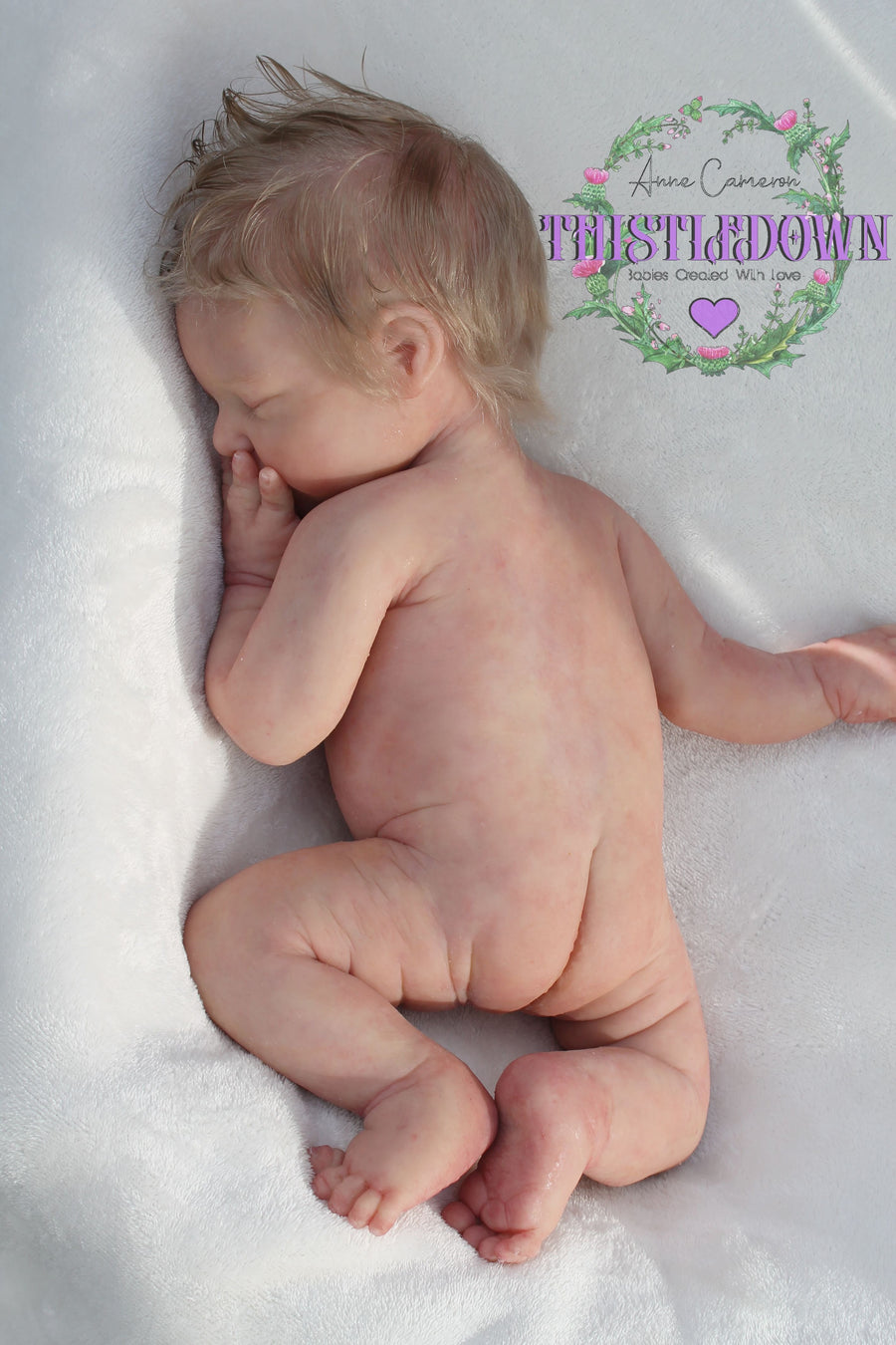 THISTLEDOWN DOLLS — photo 3