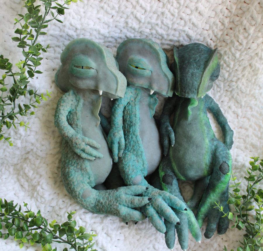 TINY SUCCULENT NURSERY — photo 3