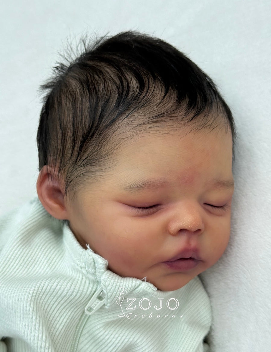 ZOJO REBORNS — photo 3