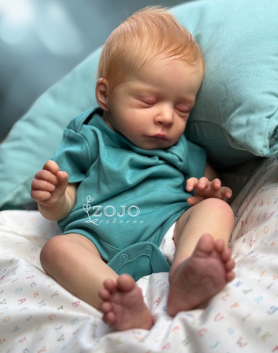 ZOJO REBORNS — photo 4