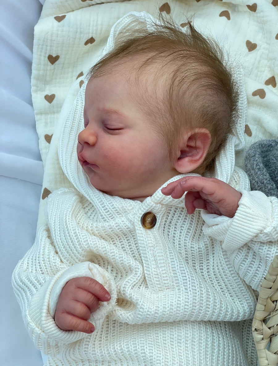 ZOJO REBORNS — photo 7