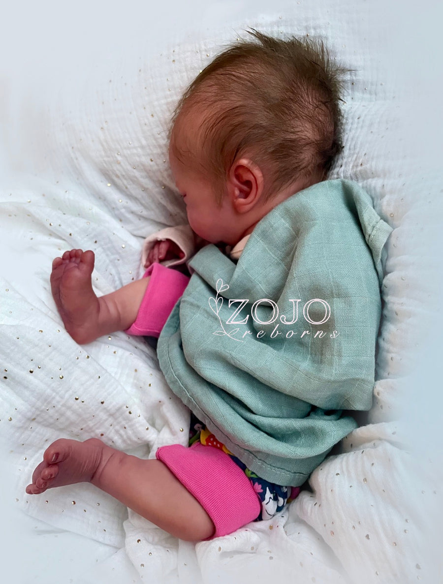ZOJO REBORNS — photo 8