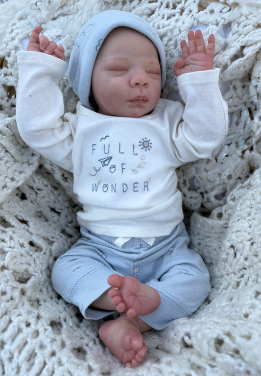 ASHLEY’S ADORABLE ADDITIONS