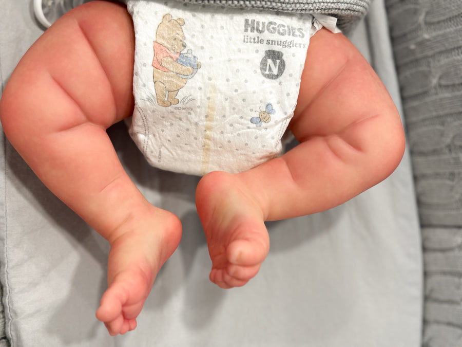 BLUE WILLOW BABIES — photo 10
