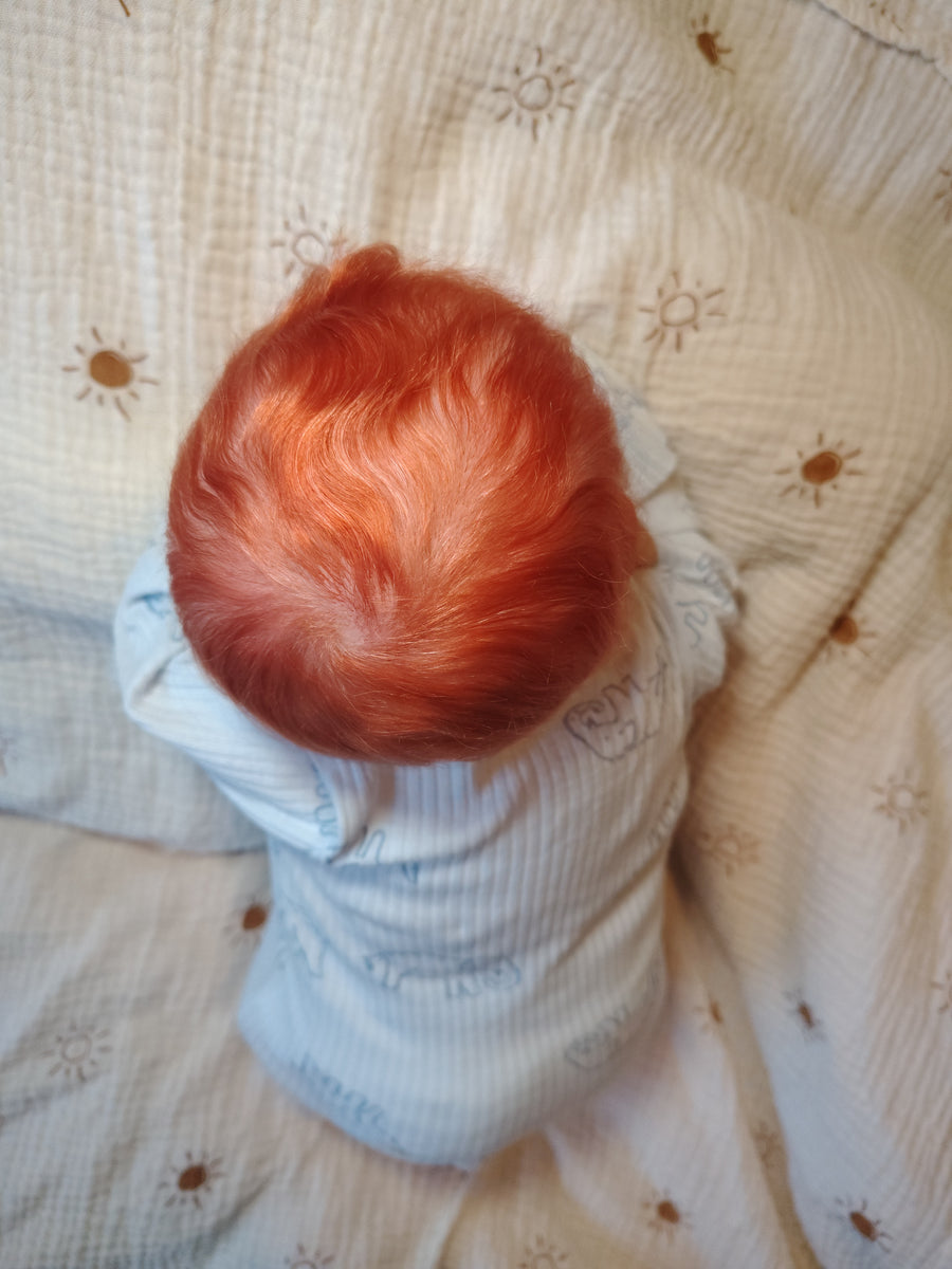 Gerri's Cradle Reborn Nursery — photo 8